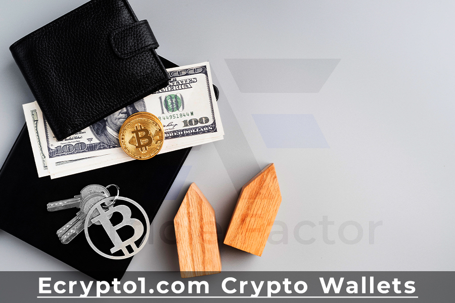 Ecrypto1.com Crypto Wallets