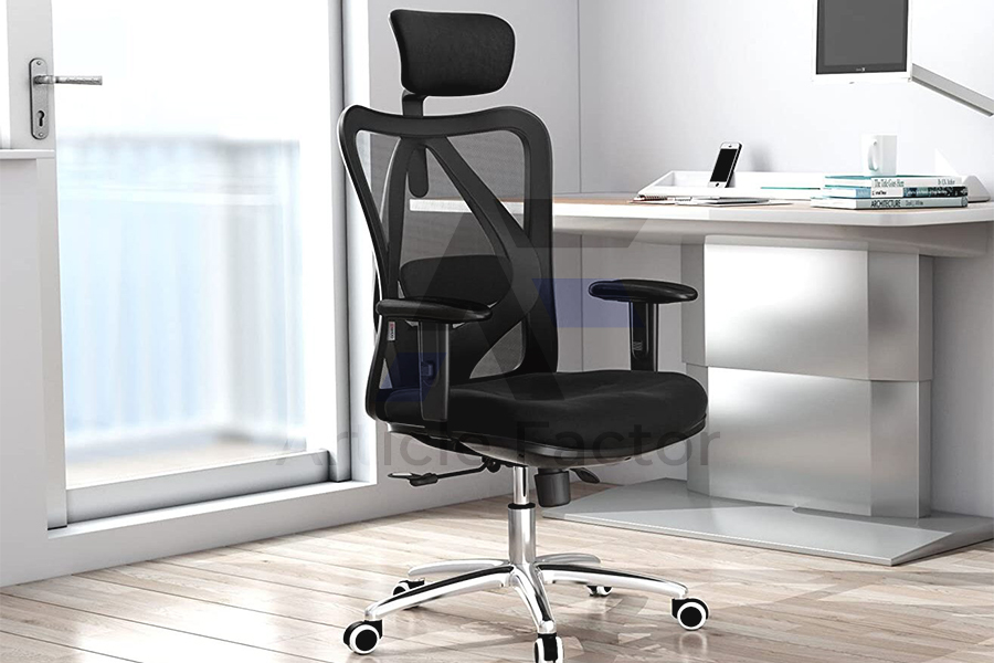 Ergonomic Home Office Chair by Duramont